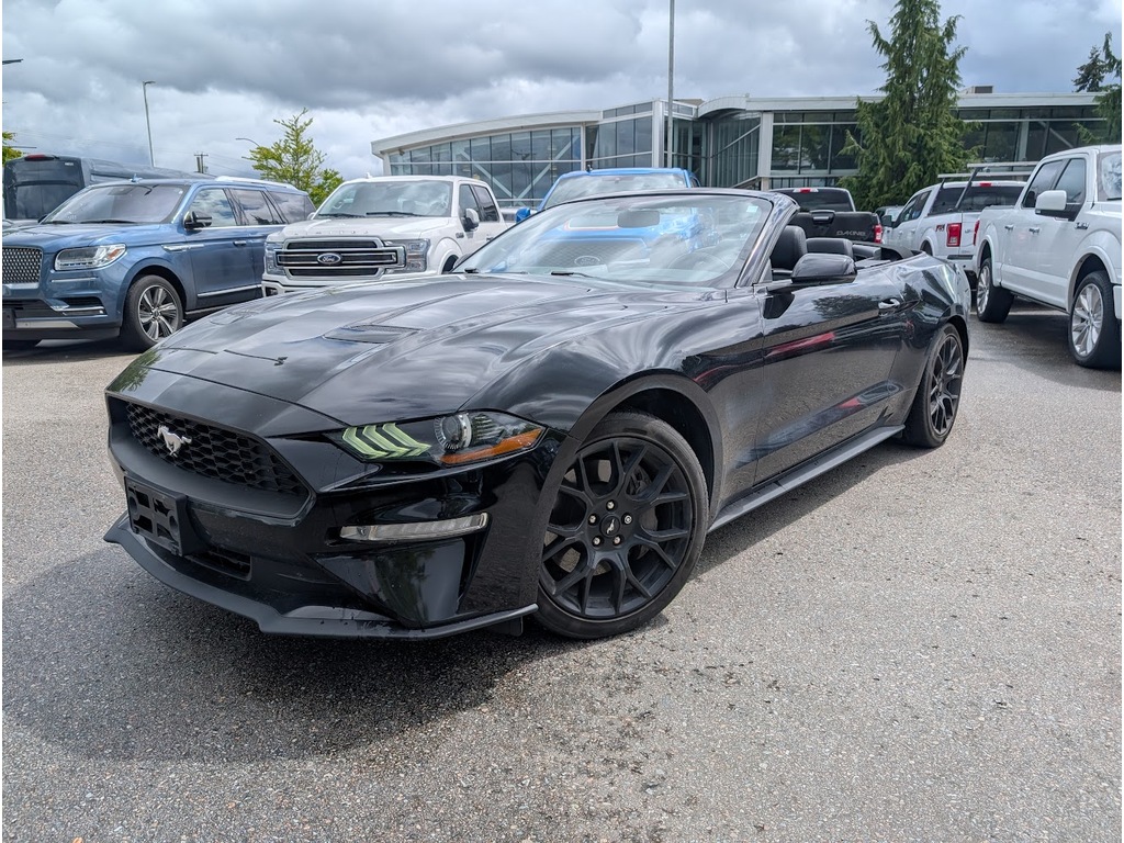 Ford Maple Ridge 2019 Ford Mustang | $32,000 | 43,665 km | Gas Convertible for sale by ...