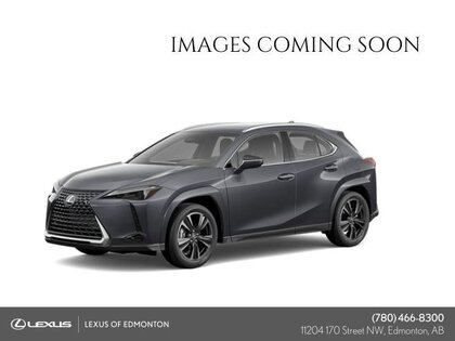 Lexus UX UX 300H LUXURY PACKAGE - DEMO UNIT