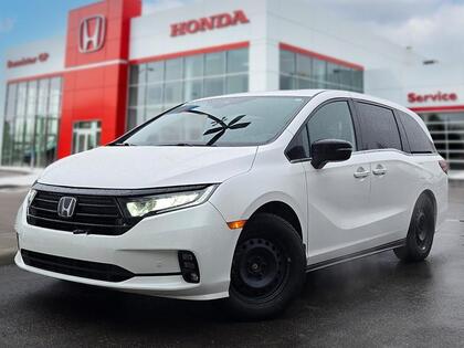 Honda Odyssey Black Edition