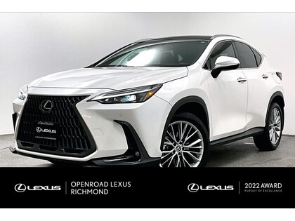 Lexus NX | LUXURY PACKAGE | NO ACCIDENTS |