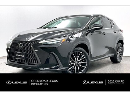 Lexus NX | NO ACCIDENTS | EXECUTIVE PKG |