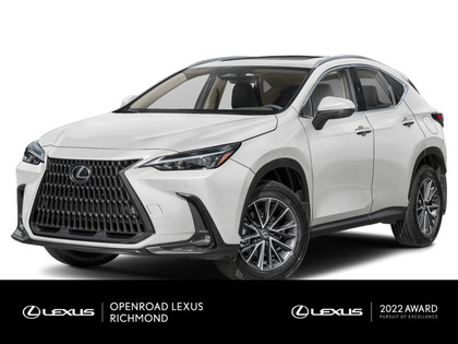 Lexus NX | LUXURY PACKAGE |