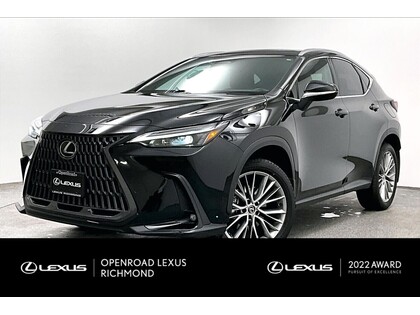 Lexus NX | LUXURY PACKAGE | NO ACCIDENTS |