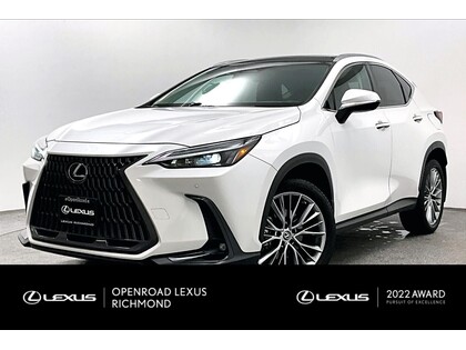 Lexus NX | LUXURY PACKAGE | NO ACCIDENTS |