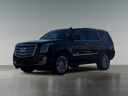 Cadillac Escalade 4WD 4dr Platinum