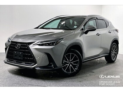 Lexus NX 250 | Signature Pkg | 2.5L | AWD | No Accident Cla