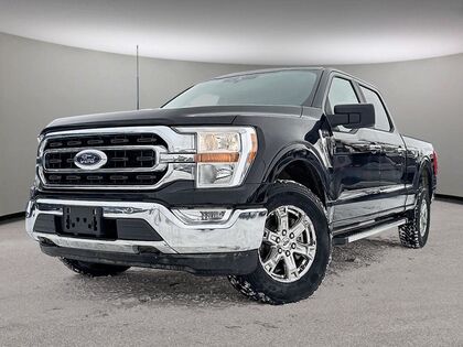 Ford F-150 XLT | 4WD | Local MB Vehicle | Apple CarPlay & And