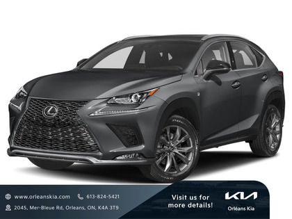 Lexus NX 300 F-SPORT LOADED | RED INTERIOR | MATRIX HEADLIGHT |