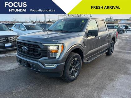 Ford F-150 XLT 4WD SuperCrew | 5.5' Box | Local Trade