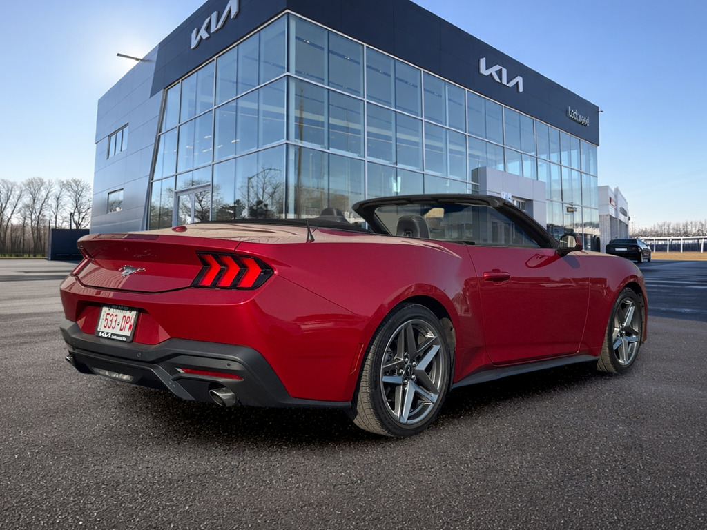 2024 Ford Mustang 2024 Ford Mustang EcoBoost Premium Convertible | C