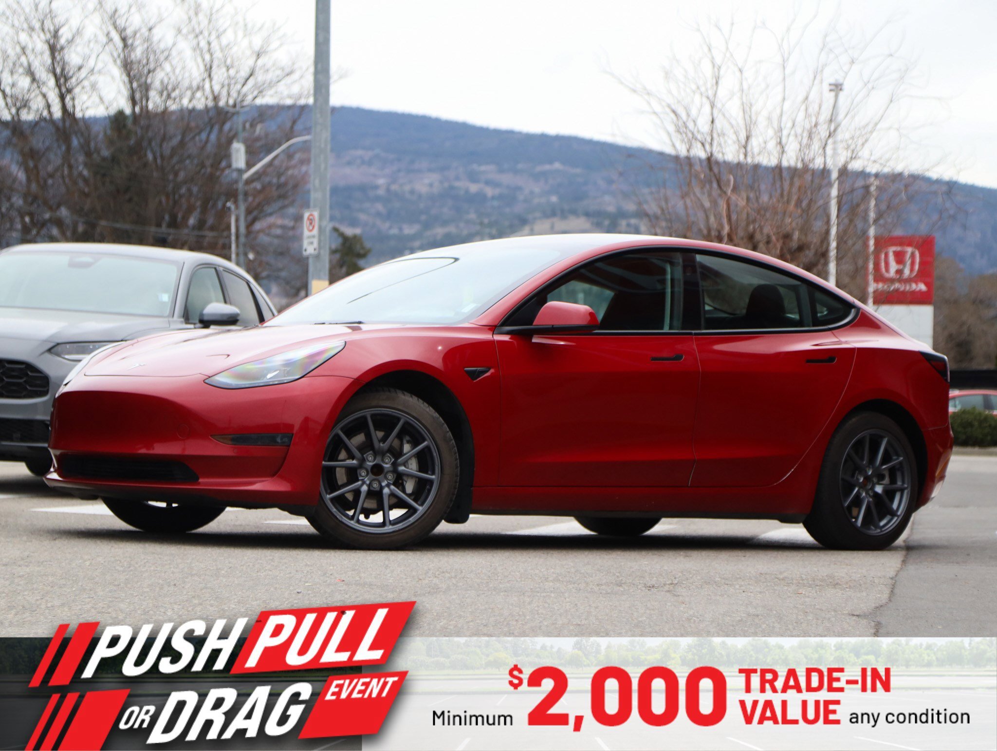 2022 Tesla Model 3 RWD - No Accidents / Navigation / Panoramic Sunroo